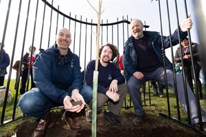 Sycamore Gap sapling being planted in Newcastle's Town Moor 